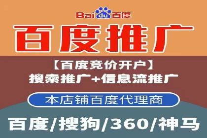 短视频平台的SEM推广实践与效果